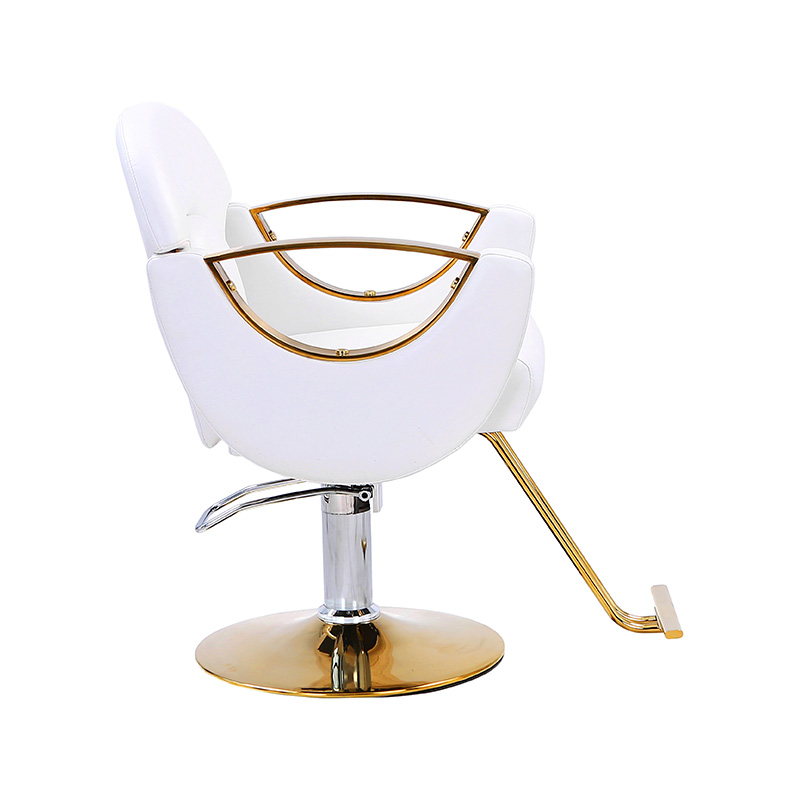 HZ8765BZ / HZ8765WZ / HZ8765PZ / HZ8765Z Облегченное кресло для салонов стиля