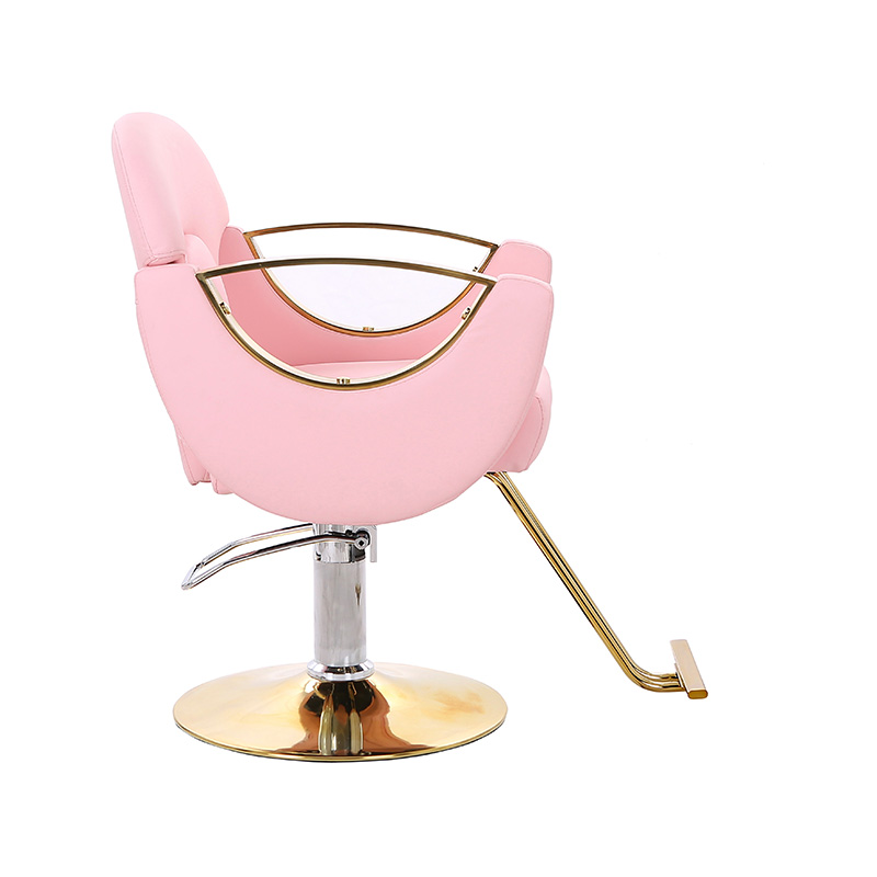 HZ8765BZ / HZ8765WZ / HZ8765PZ / HZ8765Z Облегченное кресло для салонов стиля